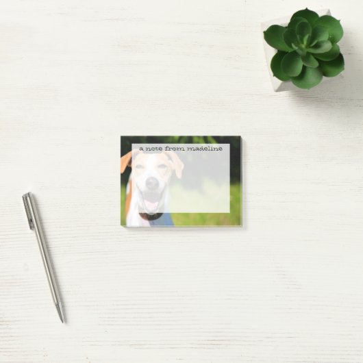 Getty Afbeeldingen | Laughing Dog Post-it® Notes (Kantoor)