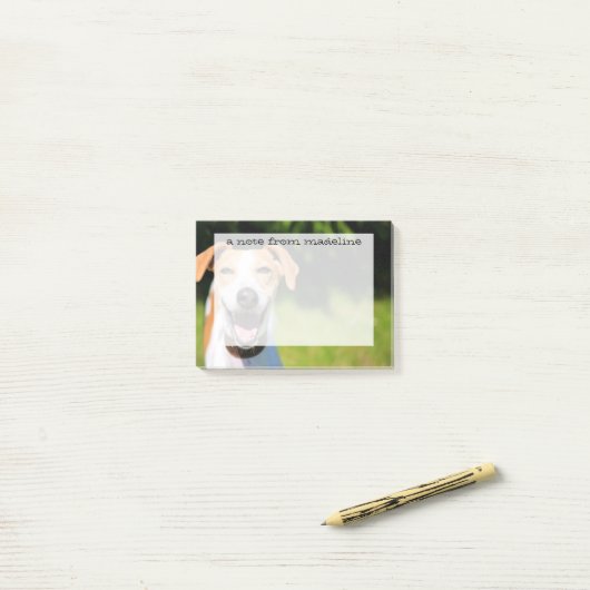 Getty Afbeeldingen | Laughing Dog Post-it® Notes (Op bureau)