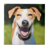 Getty Afbeeldingen | Laughing Dog Tegeltje (Voorkant)