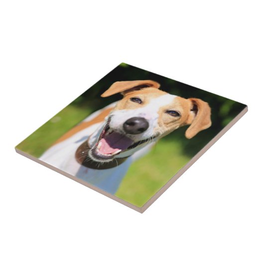 Getty Afbeeldingen | Laughing Dog Tegeltje (Zijkant)