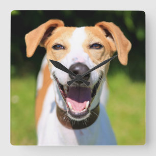 Getty Afbeeldingen Laughing Dog Vierkante Klok