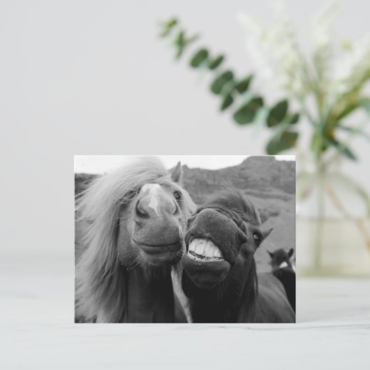 Getty Afbeeldingen | Melkpaarden Briefkaart (Staand voorkant)