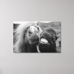 Getty Afbeeldingen Melkpaarden Canvas Afdruk