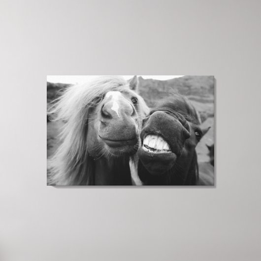 Getty Afbeeldingen | Melkpaarden Canvas Afdruk (Voorkant)