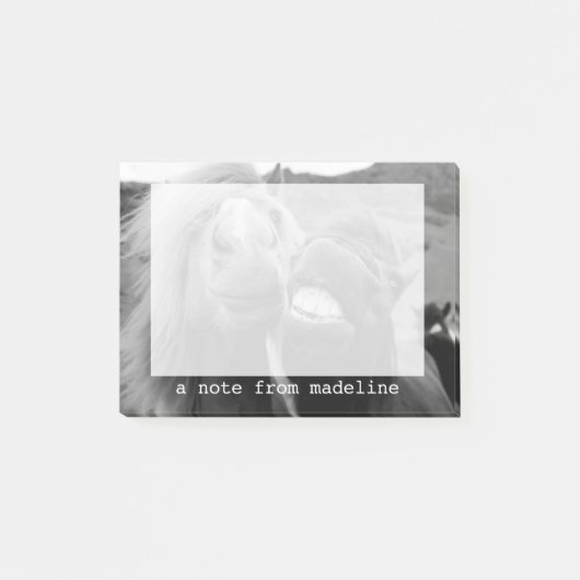 Getty Afbeeldingen | Melkpaarden Post-it® Notes (Voorkant)