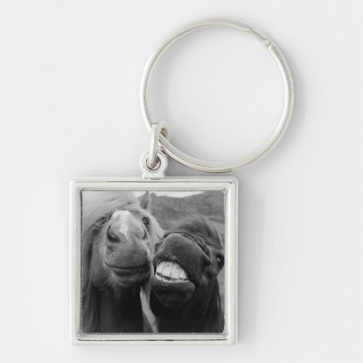 Getty Afbeeldingen | Melkpaarden Sleutelhanger (Voorkant)