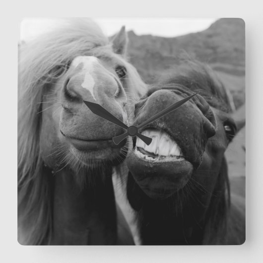 Getty Afbeeldingen | Melkpaarden Vierkante Klok (Voorkant)