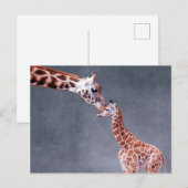 Getty Afbeeldingen | Moeder en Baby Giraffe Briefkaart (Voorkant / Achterkant)