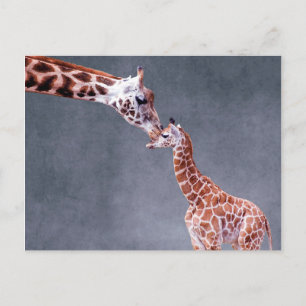 Getty Afbeeldingen   Moeder en Baby Giraffe Briefkaart