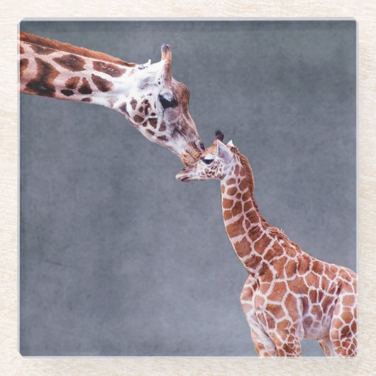Getty Afbeeldingen | Moeder en Baby Giraffe Glazen Onderzetter (Voorkant)