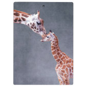 Getty Afbeeldingen | Moeder en Baby Giraffe Klembord (Achterkant)