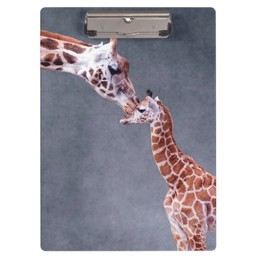 Getty Afbeeldingen | Moeder en Baby Giraffe Klembord (Voorkant)