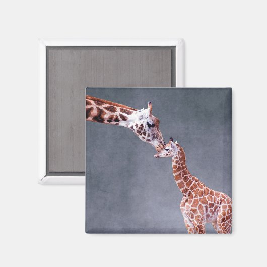 Getty Afbeeldingen | Moeder en Baby Giraffe Magneet (Voorkant / Achterkant)