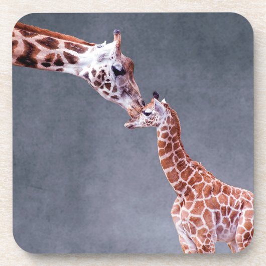 Getty Afbeeldingen | Moeder en Baby Giraffe Onderzetter (Voorkant)