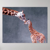 Getty Afbeeldingen | Moeder en Baby Giraffe Poster (Voorkant)