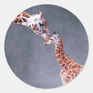 Getty Afbeeldingen   Moeder en Baby Giraffe Ronde Sticker