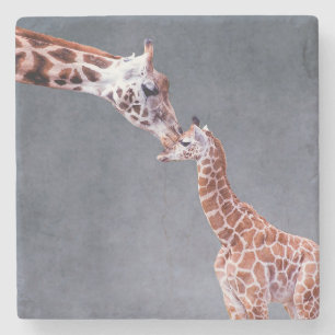 Getty Afbeeldingen   Moeder en Baby Giraffe Stenen Onderzetter