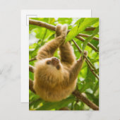 Getty Afbeeldingen | Opwaartse sleuf Briefkaart (Voorkant / Achterkant)