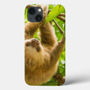 Getty Afbeeldingen   Opwaartse sleuf iPhone 13 Hoesje