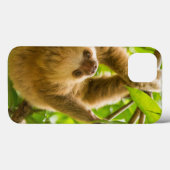 Getty Afbeeldingen | Opwaartse sleuf Case-Mate iPhone Case (Achterkant (horizontaal))