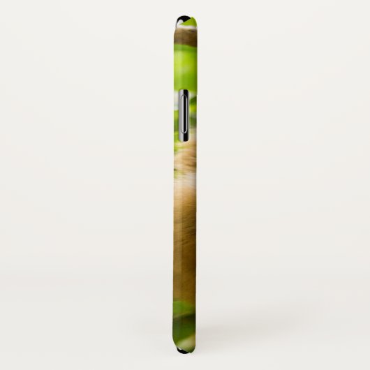 Getty Afbeeldingen | Opwaartse sleuf Case-Mate iPhone Case (Achterkant / rechts)