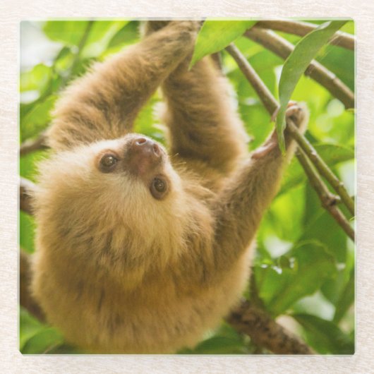 Getty Afbeeldingen | Opwaartse sleuf Glazen Onderzetter (Voorkant)