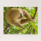 Getty Afbeeldingen | Opwaartse sleuf Legpuzzel (Horizontaal)