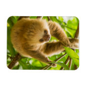 Getty Afbeeldingen | Opwaartse sleuf Magneet (Horizontaal)