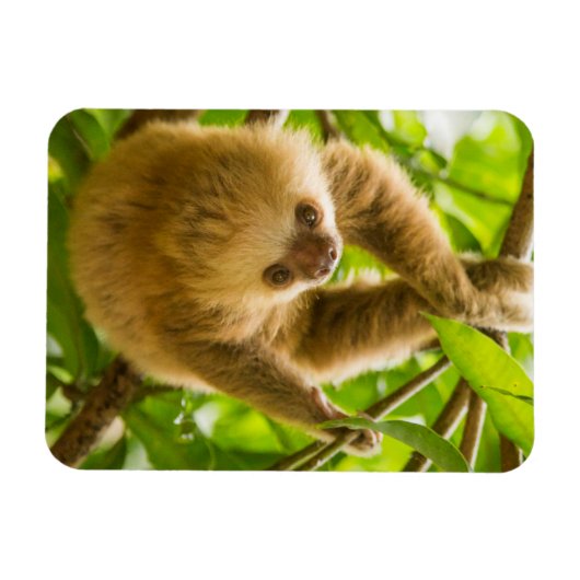 Getty Afbeeldingen | Opwaartse sleuf Magneet (Horizontaal)