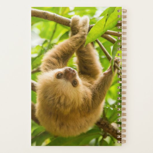 Getty Afbeeldingen | Opwaartse sleuf Planner (Achterkant)