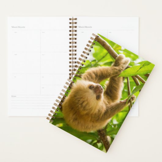 Getty Afbeeldingen | Opwaartse sleuf Planner (Display)