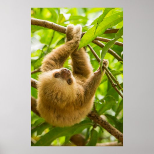 Getty Afbeeldingen | Opwaartse sleuf Poster (Voorkant)