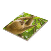 Getty Afbeeldingen | Opwaartse sleuf Tegeltje (Zijkant)