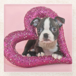 Getty Afbeeldingen   Puppy Love Glazen Onderzetter