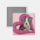 Getty Afbeeldingen | Puppy Love Magneet (Voorkant / Achterkant)