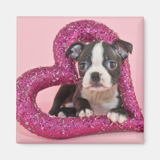 Getty Afbeeldingen | Puppy Love Magneet (Voorkant)