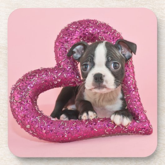 Getty Afbeeldingen | Puppy Love Onderzetter (Voorkant)