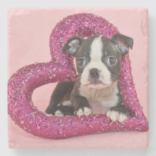 Getty Afbeeldingen Puppy Love Stenen Onderzetter
