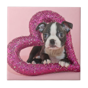 Getty Afbeeldingen Puppy Love Tegeltje