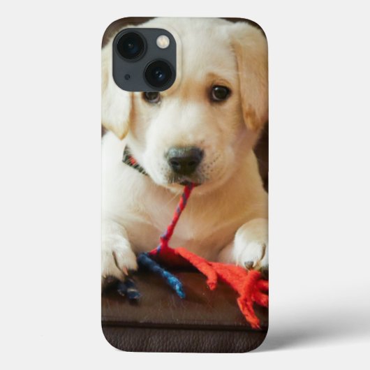 Getty Afbeeldingen | Puppy op een sofa Case-Mate iPhone Case (Achterkant)