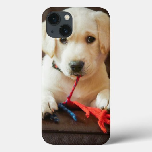 Getty Afbeeldingen | Puppy op een sofa Case-Mate iPhone Case (Achterkant)