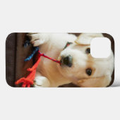 Getty Afbeeldingen | Puppy op een sofa Case-Mate iPhone Case (Achterkant (horizontaal))