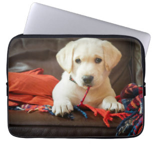 Getty Afbeeldingen Puppy op een sofa Laptop Sleeve