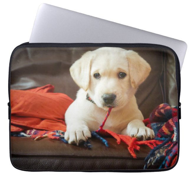Getty Afbeeldingen | Puppy op een sofa Laptop Sleeve (Voorkant)
