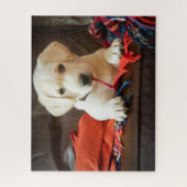 Getty Afbeeldingen | Puppy op een sofa Legpuzzel (Verticaal)