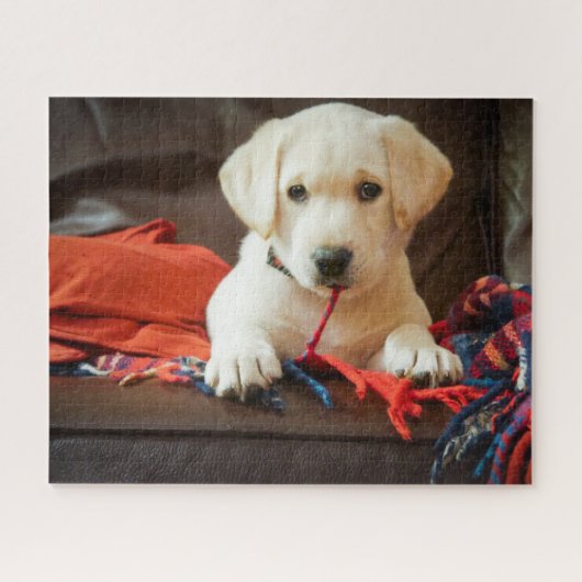 Getty Afbeeldingen | Puppy op een sofa Legpuzzel (Horizontaal)