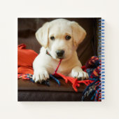 Getty Afbeeldingen | Puppy op een sofa Notitieboek (Achterkant)