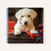 Getty Afbeeldingen | Puppy op een sofa Notitieboek (Voorkant)