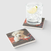 Getty Afbeeldingen | Puppy op een sofa Stenen Onderzetter (Zijkant)