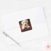 Getty Afbeeldingen | Puppy op een sofa Vierkante Sticker (Envelop)